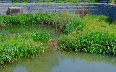 Most Common Code Violations for Stormwater Ponds