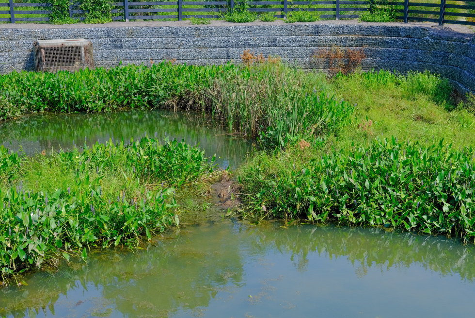 Most Common Code Violations for Stormwater Ponds