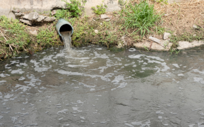 Basic Maintenance Tips for Stormwater Ponds