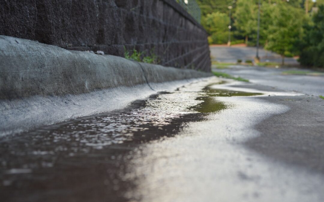 an image showing stormwater and stormwater pollution in Georgia