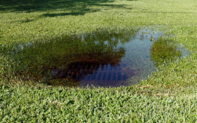 8 Signs Your Georgia Property Needs Storm Drainage Service