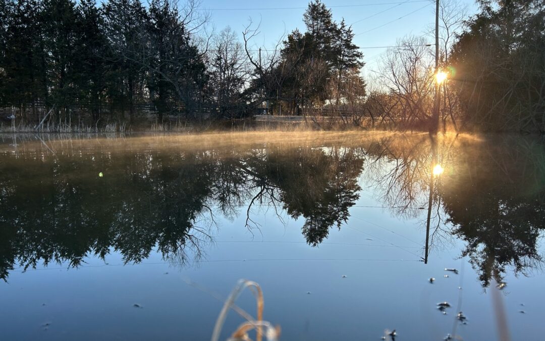 How HOAs Can Stay Compliant With Georgia Retention Pond Regulations