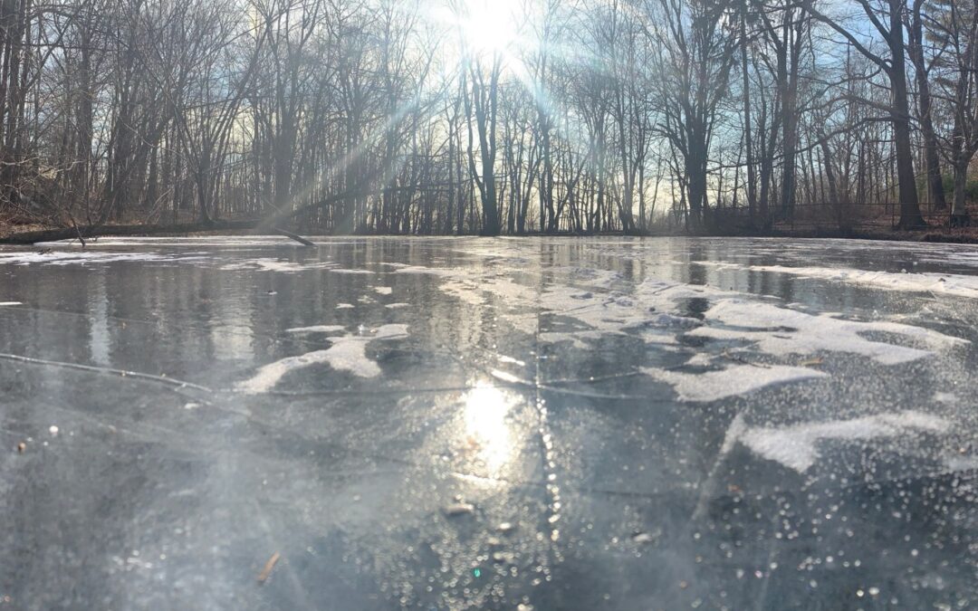 8 Winter Tips For Stormwater Pond Maintenance